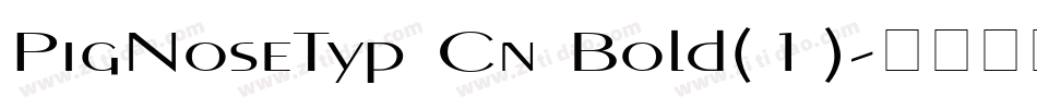 PigNoseTyp Cn Bold(1)字体转换